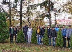 Акція "Посади дерево"